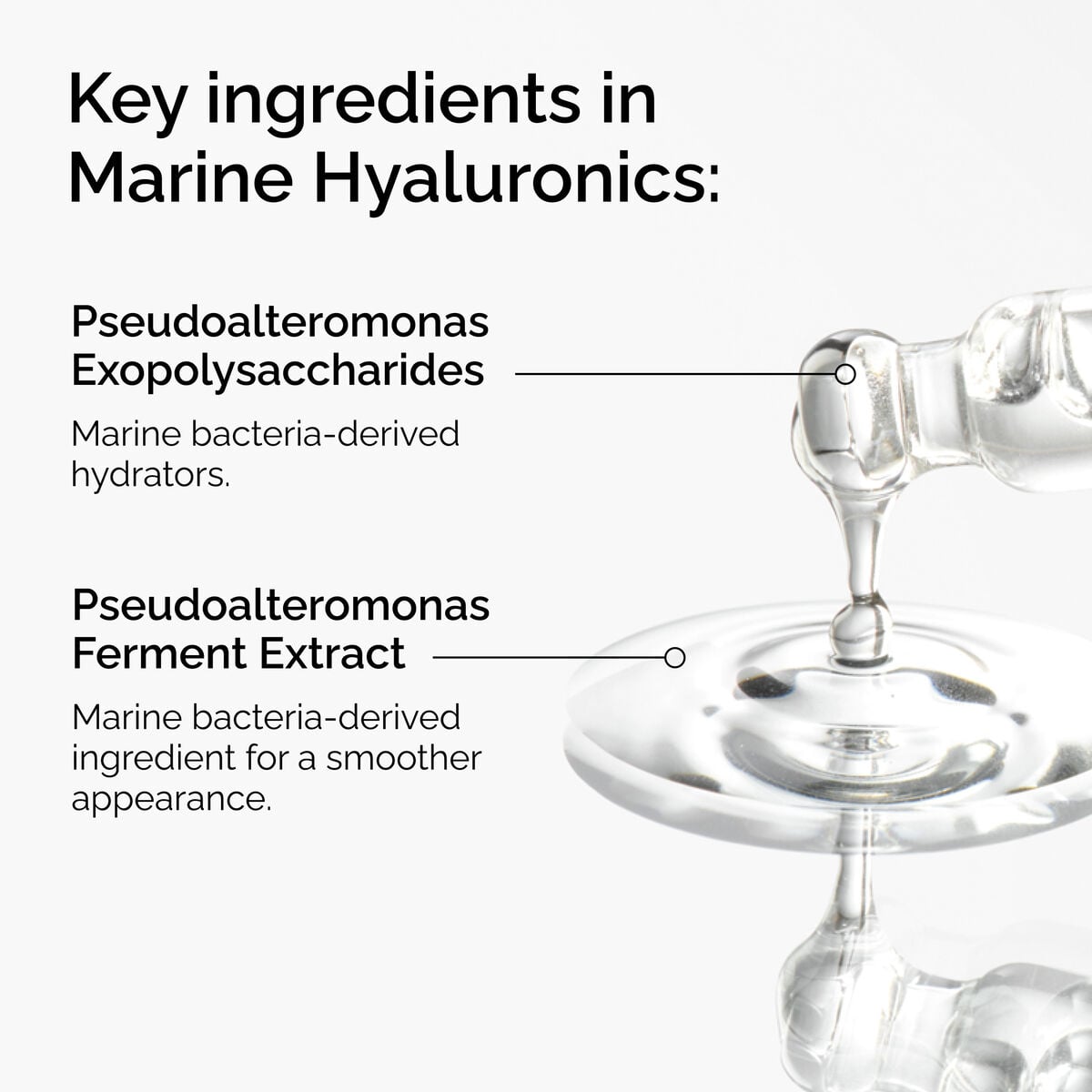 marine-hyaluronics-q0 FY25-D41247-ORD-Web-PDP-Marine-Hya-1x1-EN-2a.jpg